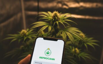 El Registro de Cannabis (REPROCANN): Guía paso a paso para la inscripción y el cultivo legal. registro de cannabis (REPROCANN)